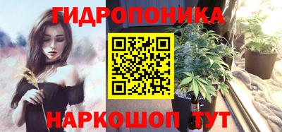индика Краснокаменск