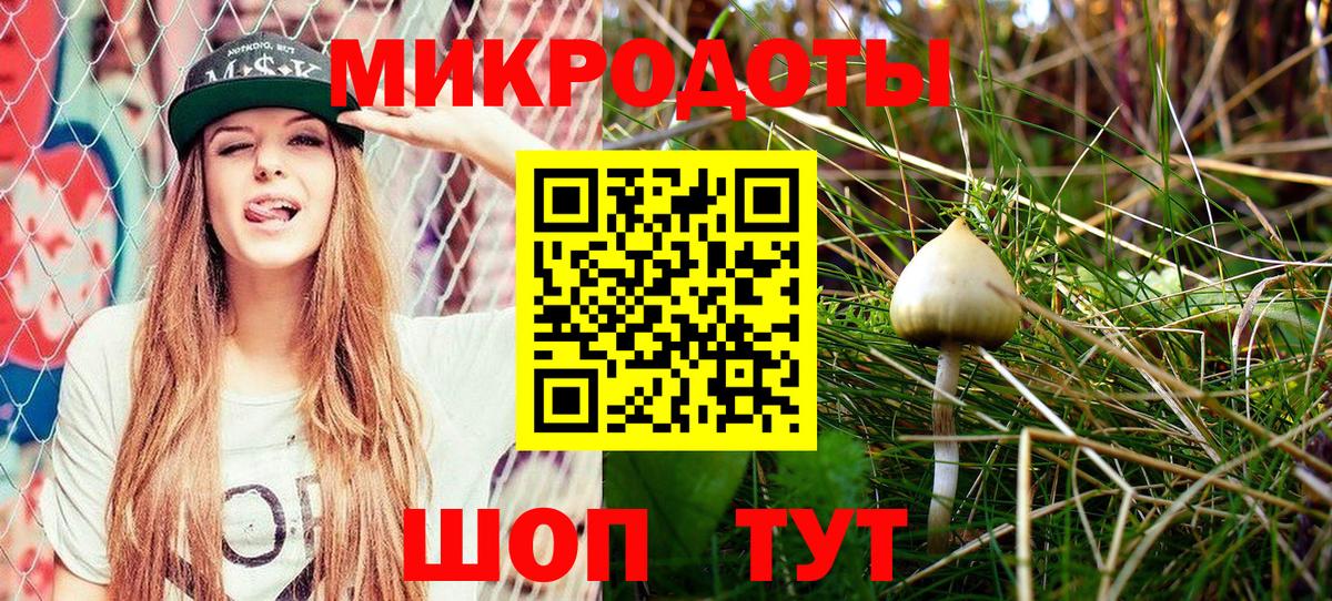 Псилоцибиновые грибы GOLDEN TEACHER Дзержинск