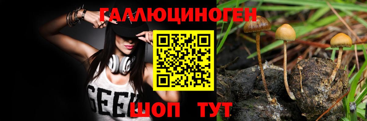 Дзержинск  Псилоцибиновые грибы ЛСД  Вход с VPN  Псилоцибиновые грибы Magic Shrooms 